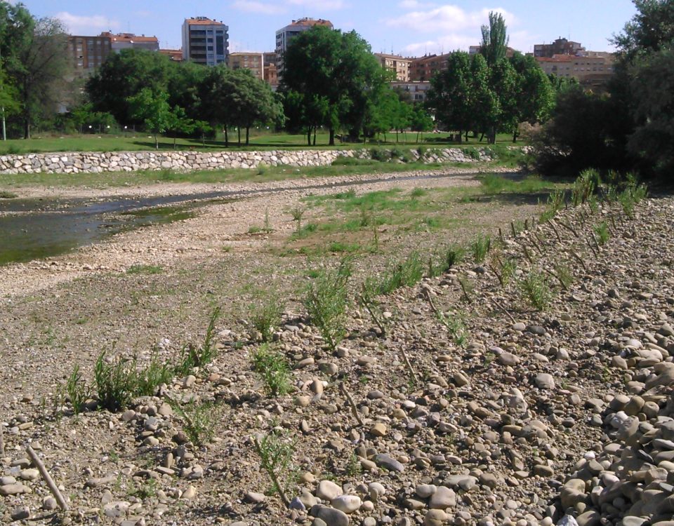 Asistencia técnica para las obras de emergencia en la margen derecha del río Ebro. La Rioja.