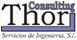 About thor consulting