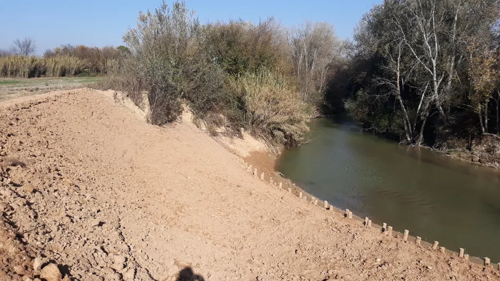 technical assistance in the emergency works for the repair of damage in the ebro basin copy