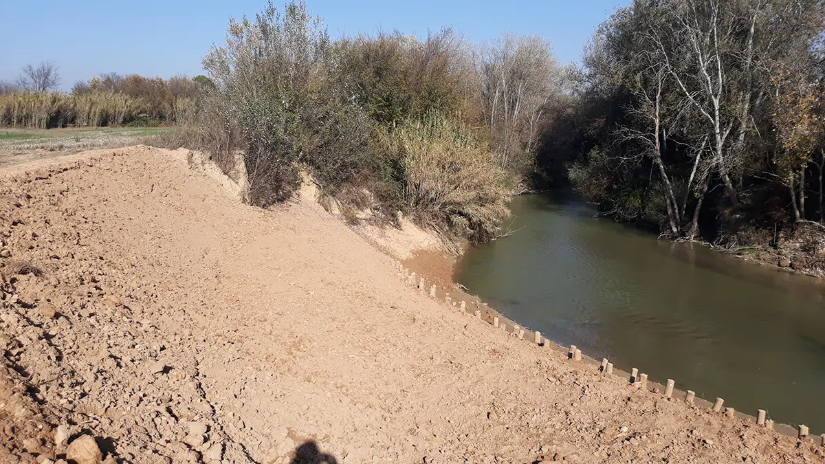 technical assistance in the emergency works for the repair of damage in the ebro basin copy